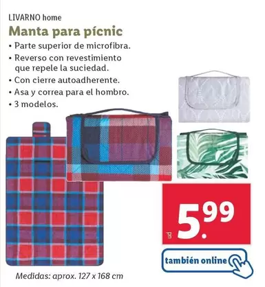 Oferta de Livarno Home - Manta Para Picnic por 5,99€ en Lidl