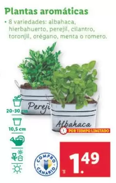 Oferta de Plantas Aromáticas por 1,49€ en Lidl