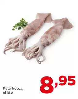 Oferta de Pota Fresca por 8,95€ en Alimerka