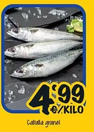 Oferta de Caballa Granel por 4,99€ en Cash Fresh