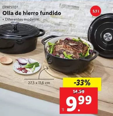 Oferta de Ernesto - Olla De Hierro Fundido por 9,99€ en FACTORI discount
