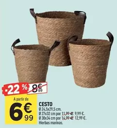 Oferta de Cesto por 6,99€ en Centrakor