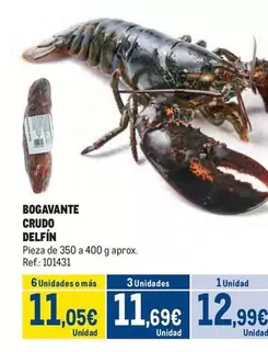 Oferta de Delfín - Bogavante Crudo por 12,99€ en Makro