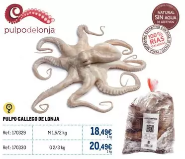 Oferta de Gallego - Pulpo  De Lonja por 20,49€ en Makro