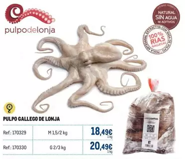 Oferta de Gallego - Pulpo  De Lonja por 20,49€ en Makro