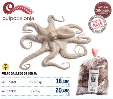 Oferta de Gallego - Pulpo  De Lonja por 20,49€ en Makro