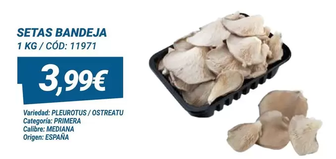 Oferta de Setas Bandeja por 3,99€ en Dialsur Cash & Carry