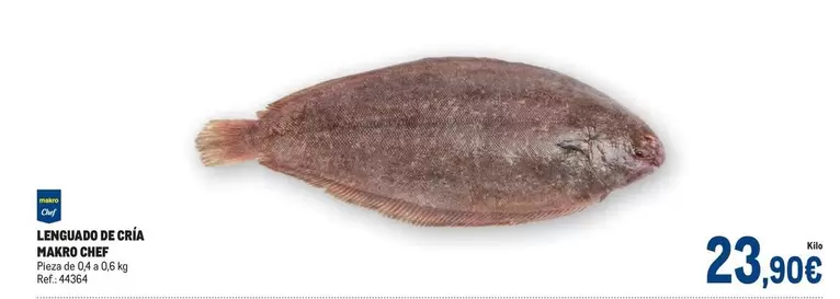Oferta de Lenguado De Cria por 23,9€ en Makro