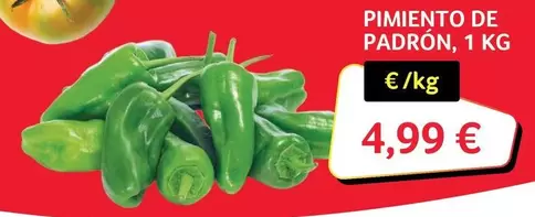 Oferta de Pimiento De Padron por 4,99€ en Gros Mercat