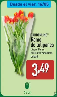 Oferta de Gardenline - Ramo De Tulipanes por 3,49€ en ALDI