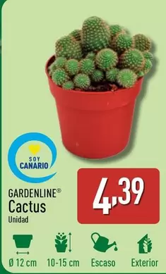 Oferta de Gardenline - Cactus por 4,39€ en ALDI