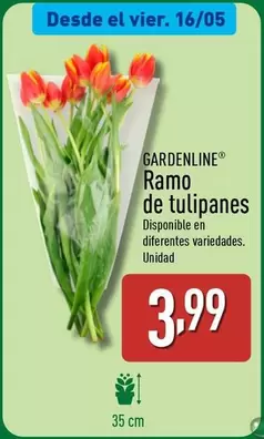 Oferta de Gardenline - Ramo De Tulipanes por 3,99€ en ALDI