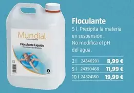 Oferta de Floculante por 8,99€ en BAUHAUS