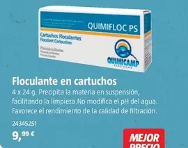 Oferta de Floculante En Cartuchos por 9,99€ en BAUHAUS