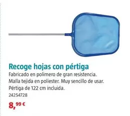 Oferta de Recoge Hojas Con Pértiga por 8,99€ en BAUHAUS
