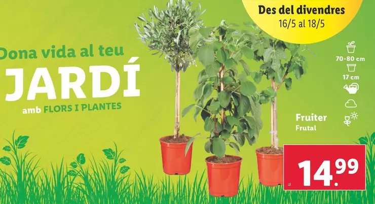 Oferta de Frutal por 14,99€ en Lidl