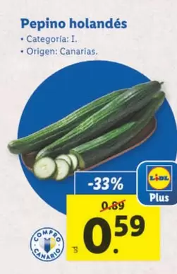 Oferta de Pepino Holandés  por 0,59€ en Lidl