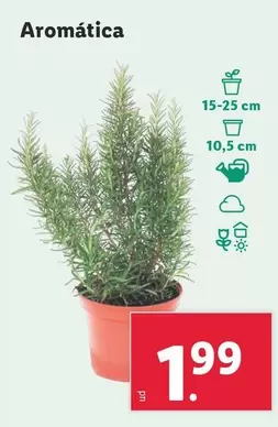 Oferta de Aromatica por 1,99€ en Lidl