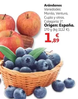 Oferta de Origen - Arándanos por 1,89€ en Alcampo