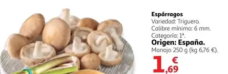 Oferta de Origen - Esparragos por 1,69€ en Alcampo