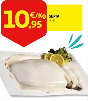 Oferta de Sepia por 10,95€ en Alcampo