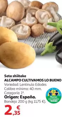 Oferta de Alcampo - Seta Shitake por 2,35€ en Alcampo