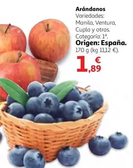 Oferta de Origen - Arándanos por 1,89€ en Alcampo