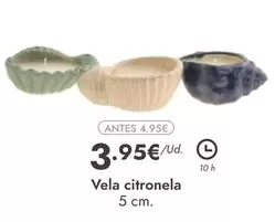 Oferta de Vela Citronela por 3,95€ en Rocasa