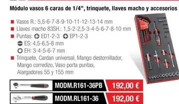 Oferta de Modulo Vasos 6 Caras De 1/4", Trinquete, Llaves Macho Y Accesorios por 192€ en Ferri