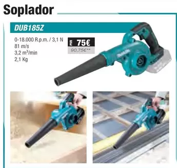 Oferta de Soplador DUB185Z por 75€ en Ferri