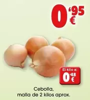 Oferta de Cebolla por 0,95€ en Top Cash