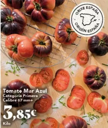 Oferta de Origen - Tomato Mar Azul por 3,85€ en Gadis