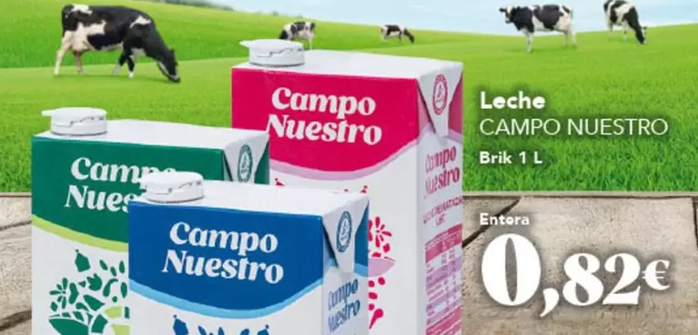 Oferta de Campo Nuestro - Leche por 0,82€ en Gadis