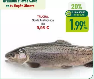 Oferta de Trucha en Masymas