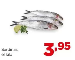 Oferta de Sardinas por 3,95€ en Alimerka