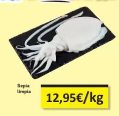 Oferta de Sepia Limpia por 12,95€ en Economy Cash