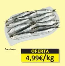 Oferta de Sardinas por 4,99€ en Economy Cash