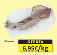 Oferta de Calamar por 6,95€ en Economy Cash