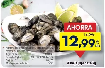 Oferta de Vivó - Almeja Japonesa por 12,99€ en Froiz