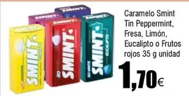 Oferta de Smint - Caramelo Tin Peppermint, Fresa, Limón, Eucalipto O Frutos Rojos por 1,7€ en Froiz