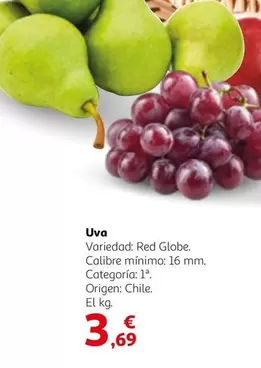 Oferta de Origen - Uva por 3,69€ en Alcampo