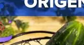 Oferta de Carrefour El Mercado - Pepino  por 1,59€ en Carrefour