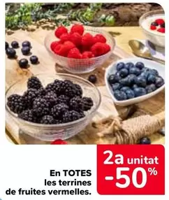 Oferta de En Todas Las Tarrinas De Frutos Rojos en Carrefour