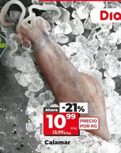 Oferta de Calamar por 10,99€ en Dia
