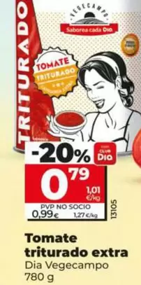 Oferta de Dia Vegecampo - Tomate Triturado Extra  por 0,79€ en Dia