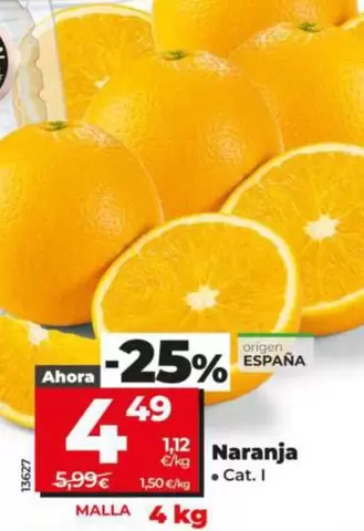 Oferta de Naranja  por 4,49€ en Dia