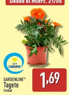 Oferta de Gardenline - Tagete por 1,69€ en ALDI