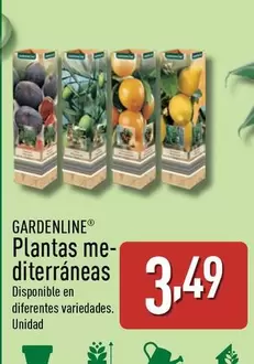 Oferta de Gardenline - Plantas Mediterraneas por 3,49€ en ALDI