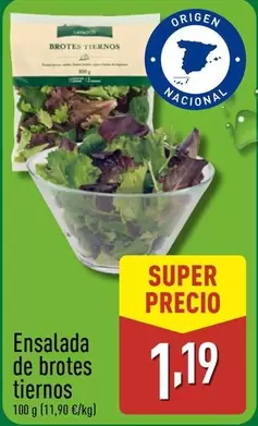 Oferta de Ensalada De Brotes Tiernos por 1,19€ en ALDI
