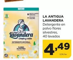 Oferta de Lavandera - Detergente En Polvo Flores Silvestres por 4,49€ en Alimerka